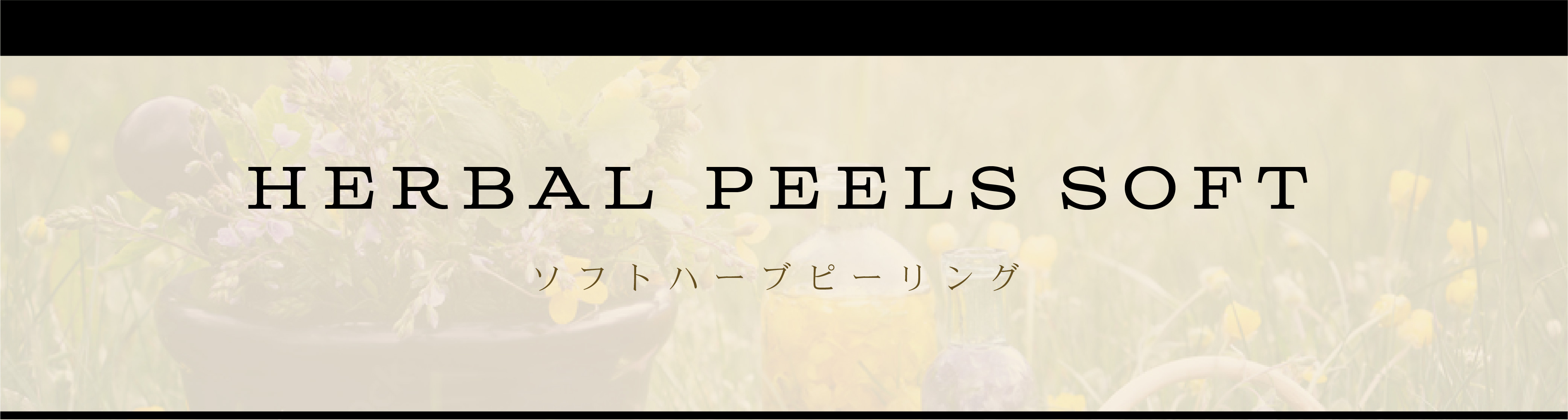 HERBAL PEELS SOFT -ソフトハーブピーリング-