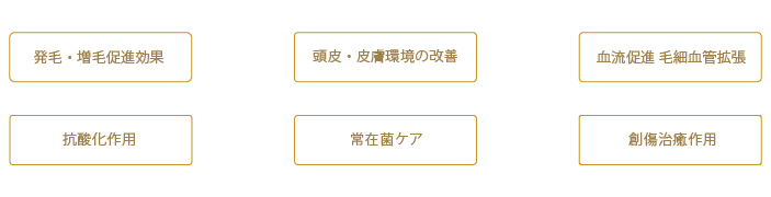 リアムールシリーズ５つのポイント